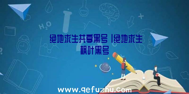 「绝地求生共享黑号」|绝地求生枫叶黑号